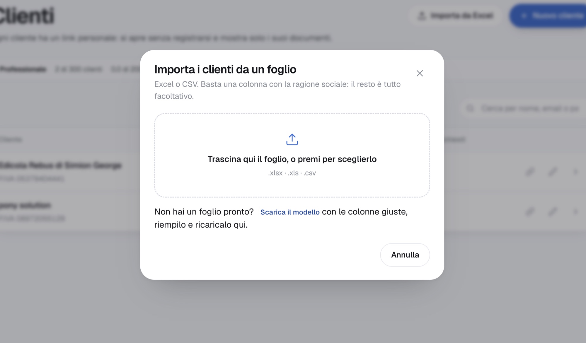 La finestra di importazione da Excel o CSV